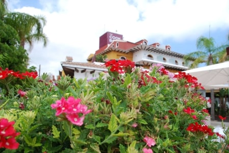 Hoteles con Spa en la Comunidad Valenciana